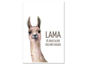 Hovedbilde Kort - Lama f&aring; gratulere
